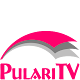 Download Pulari TV For PC Windows and Mac 2.0