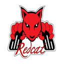 Redcat Competition Rc Chrome extension download