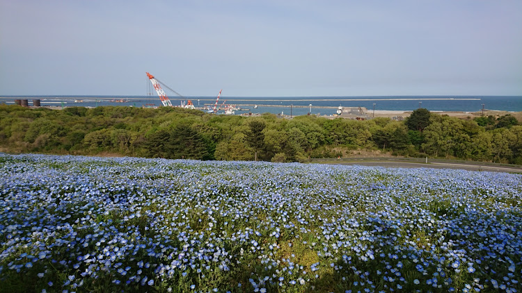 の投稿画像5枚目