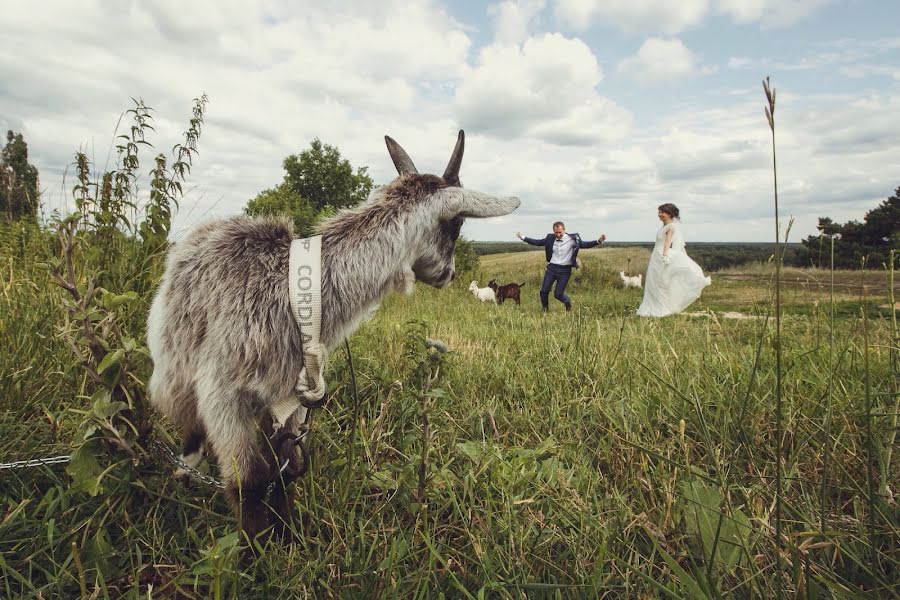 Vestuvių fotografas Yuriy Koloskov (yukos). Nuotrauka 2015 liepos 12