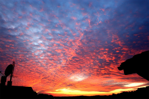 Cielo a pecorelle di CobraPel