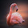 Flamingo Wallpapers Theme New Tab