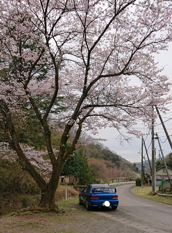 の投稿画像3枚目