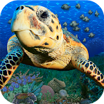 Cover Image of ダウンロード Popar Sea Life 2.1.1 APK