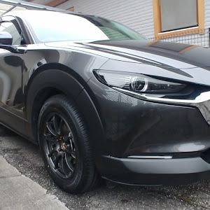 CX-30 DMEP