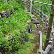 屏東居高風味餐廳