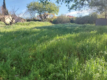 terrain à Roquebrune-sur-Argens (83)