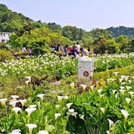 【竹子湖】苗榜花園餐廳