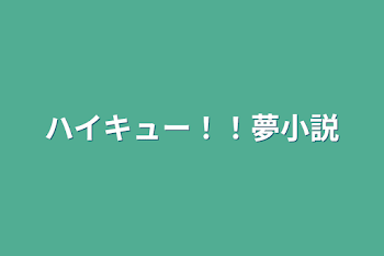 ハイキュー！！夢小説