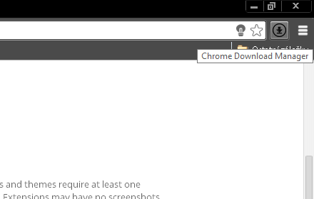 Chrome Download Manager Preview image 0