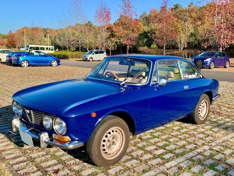 ジュリアの🇮🇹Kansai Italian Car Meeting🇮🇹・第５回・三木防災公園・ビーンズドーム芝生・ペンギン🐧カフェに関するカスタム事例の投稿画像1枚目