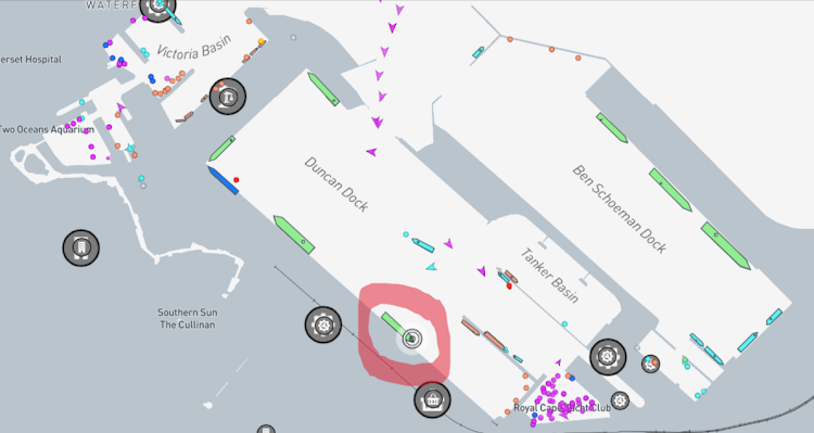 The position of the livestock carrier Al Kuwait, circled in red, which is docked at Cape Town's harbour.