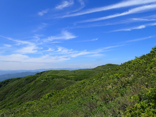 涼し気な雲