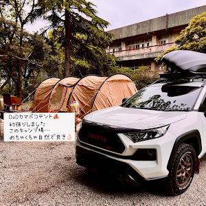 RAV4 MXAA54