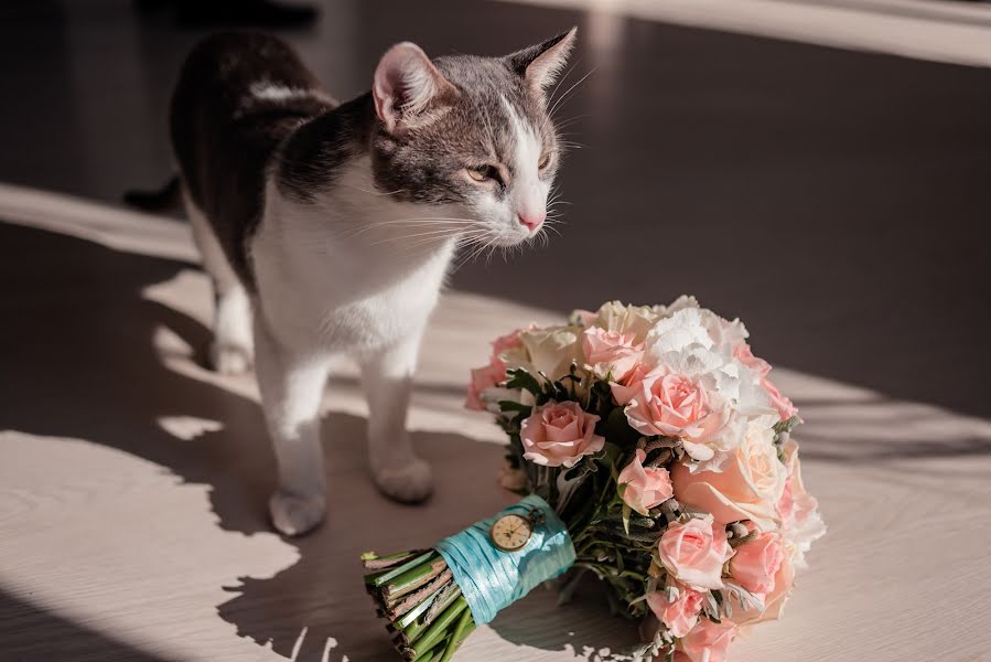 Fotógrafo de bodas Evgeniya Sushkova (andamani). Foto del 12 de agosto 2016