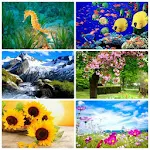 Cover Image of Tải xuống Beauty Nature Puzzles 1.2 APK