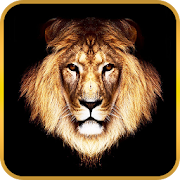 Lion Live Wallpaper 1.1 Icon