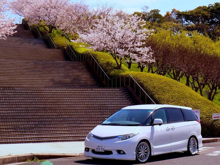 エスティマの桜と愛車・桜とコラボ・福岡・いいね👍ｺﾒﾝﾄありがとうございますに関するカスタム事例の投稿画像2枚目