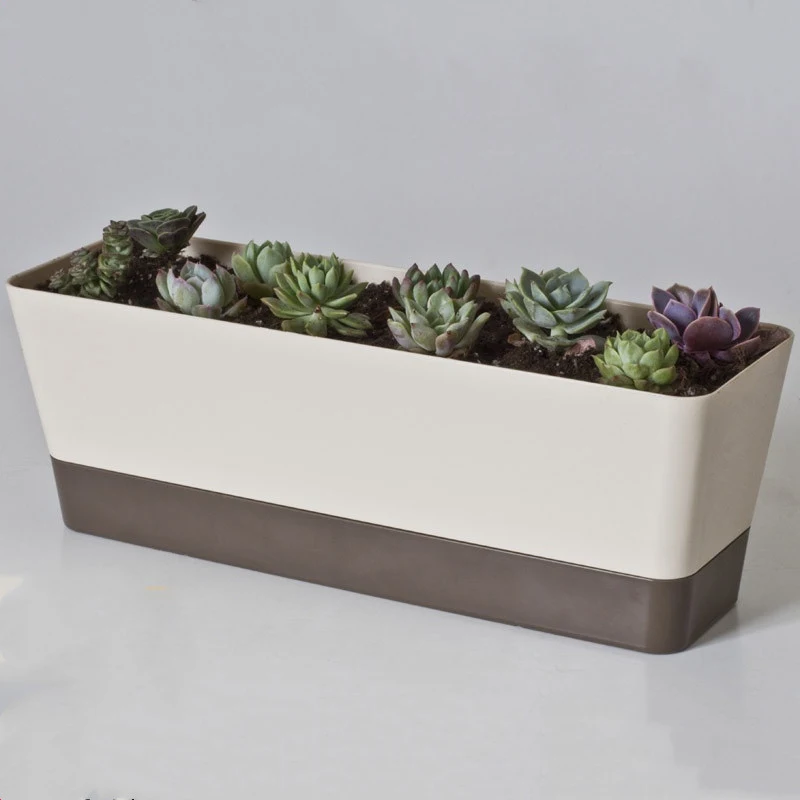 Pot de fleurs pour succulentes avec plateau, idéal pour la décoration et l'entretien de vos plantes, intérieur et extérieur.
