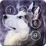 Cover Image of Download Hasky Dog Screen Lock 1.0 APK