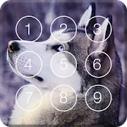 Hasky Dog Screen Lock  Icon