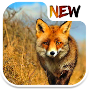 Fox Wallpaper 2.0 Icon