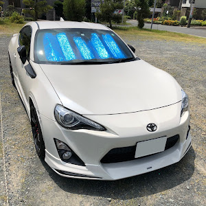 86 ZN6