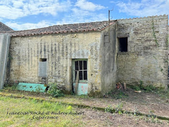 maison à Genouille (17)