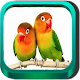 Download Kicau Lovebird For PC Windows and Mac 1.0