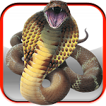 Snake Screen Apk