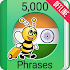 Learn Hindi Phrasebook - 5000 Phrases2.0.2