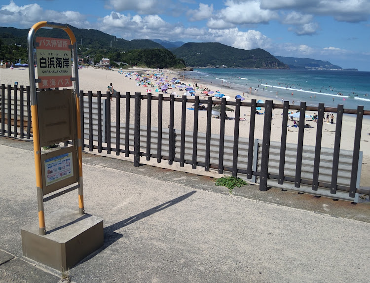コルトプラスの伊豆・白浜海岸・弓ヶ浜海水浴場・きれいな海を見に行こうに関するカスタム事例の投稿画像3枚目