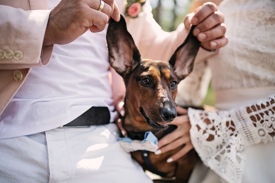 Photographe de mariage Elena Yurshina (elyur). Photo du 21 février 2019