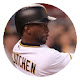 Pittsburgh sports HD New Tab Sports Themes