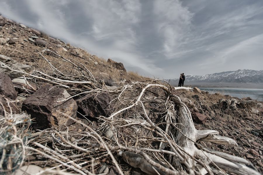 Hochzeitsfotograf Kayrat Shozhebaev (shozhebayev). Foto vom 5. April 2019