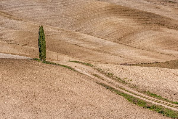 Solitario di laurafacchini