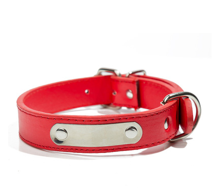 Collier PU personnalisé pour chiens et chats Teddy, avec étiquette d'identification gravée au laser, parfait pour votre animal.