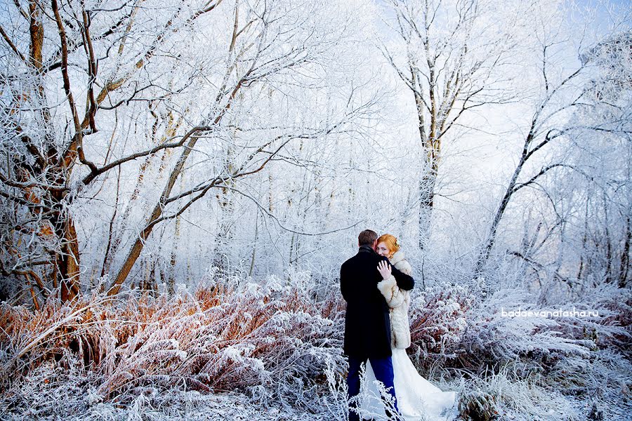 Hochzeitsfotograf Natalya Badaeva (badaevanatasha). Foto vom 29. November 2014