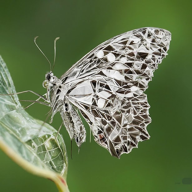 AI-generated image of a metallic butterfly resting on a leaf