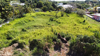 terrain à Baie mahault (971)