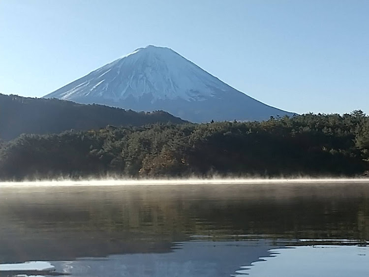 の投稿画像2枚目