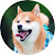 Shiba Inu Wallpaper New Tab