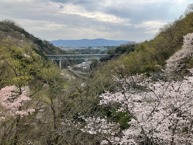 の投稿画像11枚目