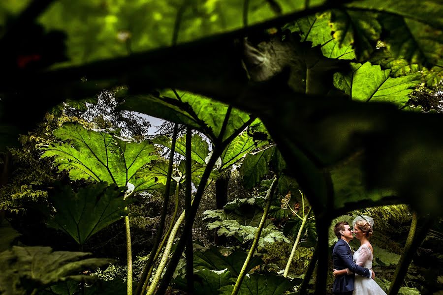 Photographe de mariage Isabelle Hattink (fotobelle). Photo du 3 novembre 2015