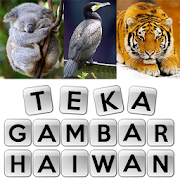 Teka Gambar Haiwan 1.1 Icon