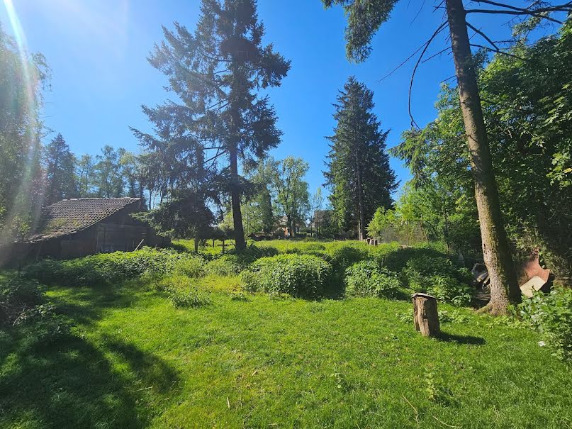 Vente terrain  2591 m² à Sentheim (68780), 159 500 €