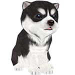 Cover Image of Télécharger Youndoo [Cute puppy] 1.45 APK