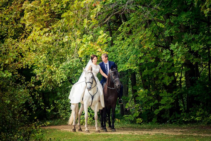 Wedding photographer Yuliya Sveshnikova (juls93). Photo of 7 November 2016