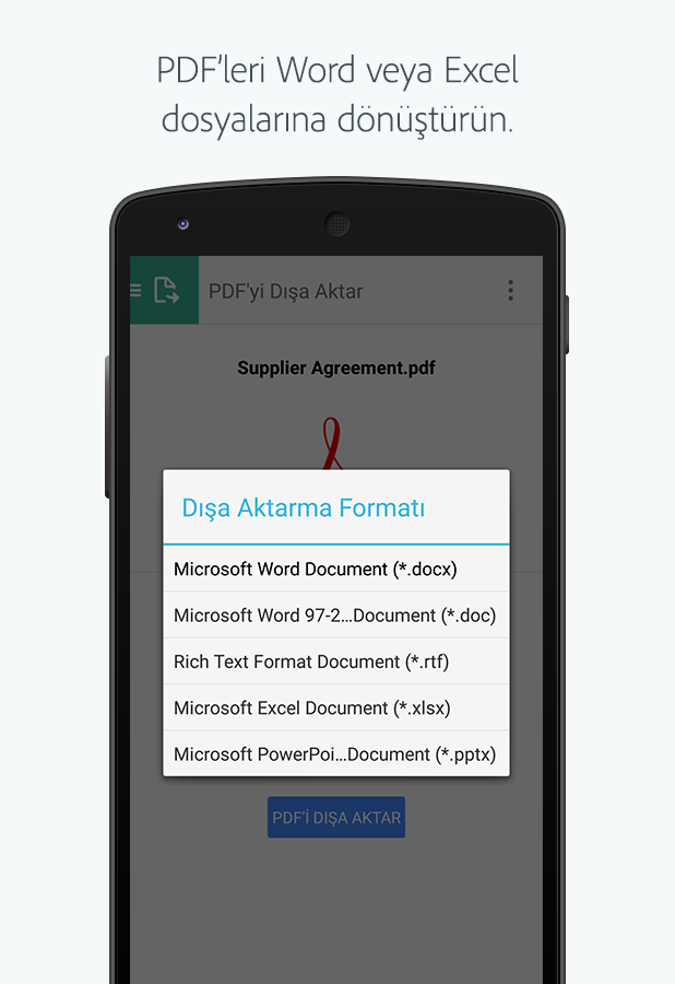   Adobe Acrobat Reader- ekran görüntüsü 