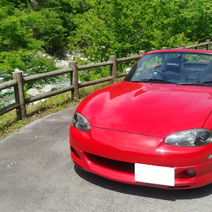 ロードスター NB8C